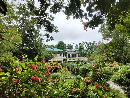 House View 1